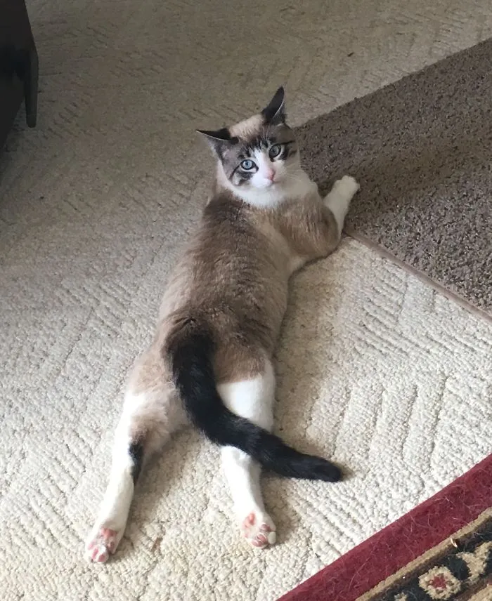He Stayed Like This For About 10 Minutes.