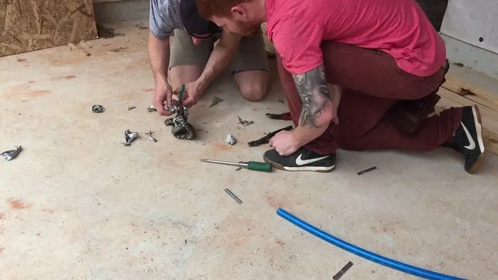 Saving A King Snake Of Duct Tape (Time Lapse)