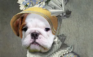 "Pet Vignettes", A Pet Portrait Site With A Creative Twist!