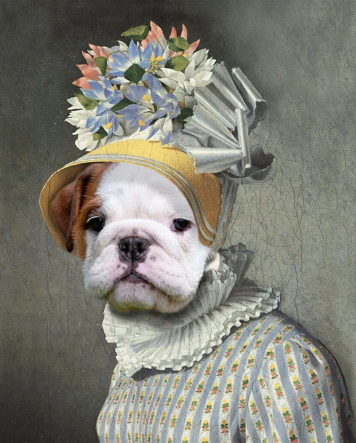 "Pet Vignettes", A Pet Portrait Site With A Creative Twist!