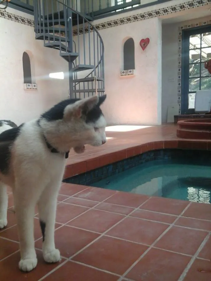 Having A Pool Party