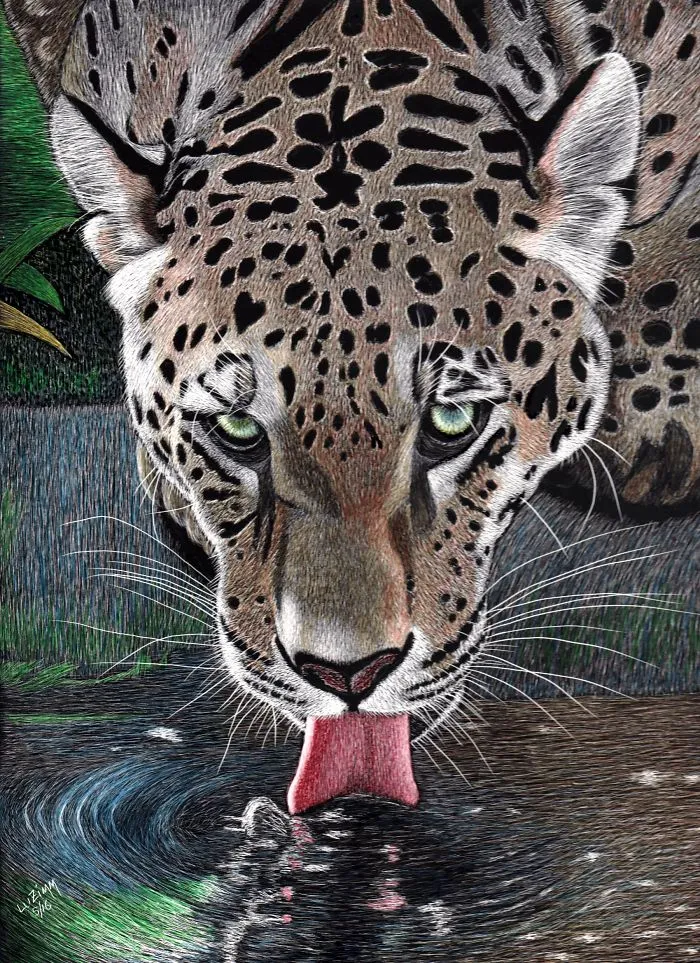 I Found This Beauty Looking For Big Cats On Internet  And After 2 Weeks Of "Scratching", This Is The Result!  This Leopard Went To Canada To Join The Lioness A Few Weeks Ago!  - Www.luzimmscratchart.com