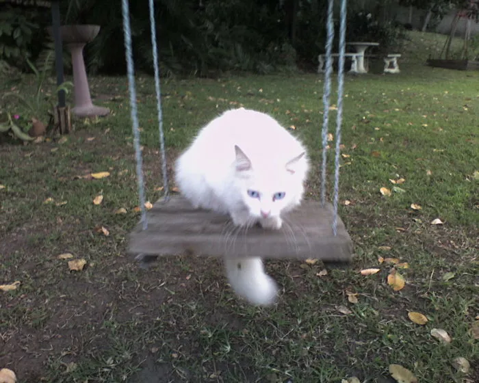 C'mon, Give Me A Push!