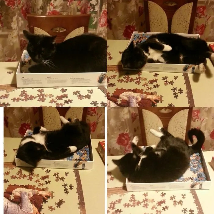 Puzzles? No