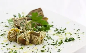 A Journey Through Regional Italian Cooking