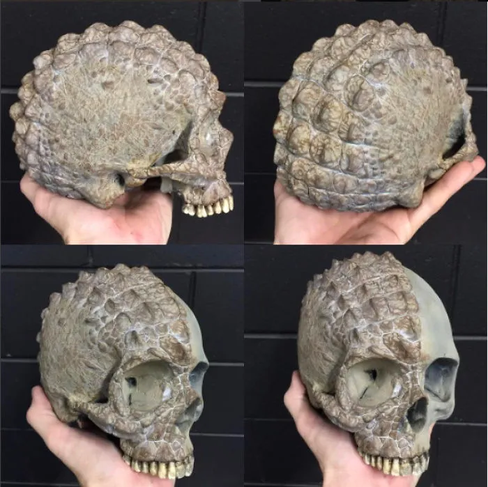 I'm About Halfway There On My Croc Skull!