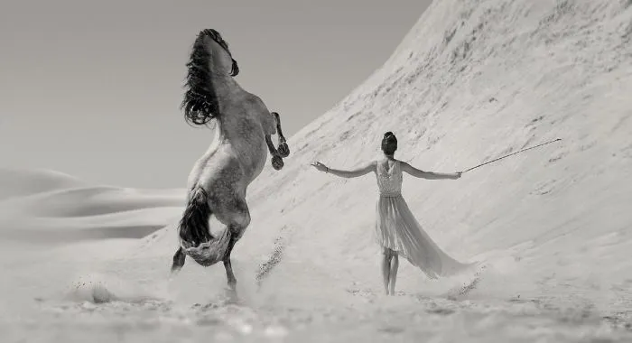 Where The Wild Horses Run