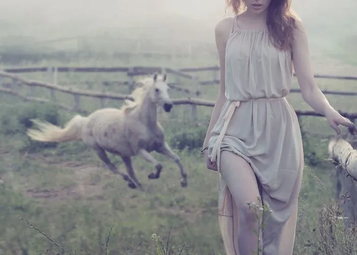 Where The Wild Horses Run