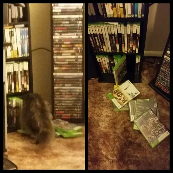 When You Think You Removed Everything She Destroys, She Find Something Else.