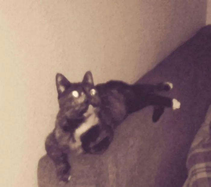 What A Diva...
