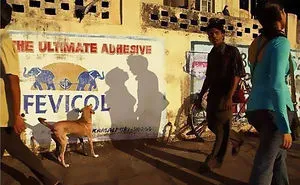 184 Incredible Shadows That Will Make You Look Twice