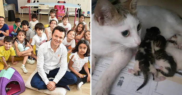 Teacher Transforms Classroom Into A Comfy Home-Like Place, Adopts Cats To Educate His Students