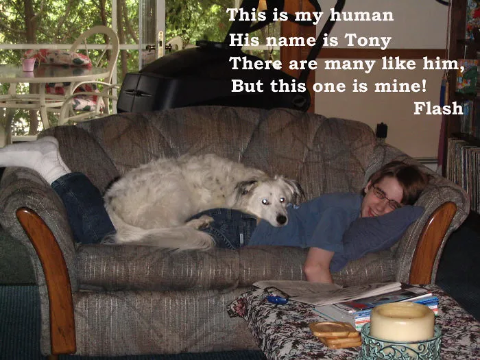 He's My Human