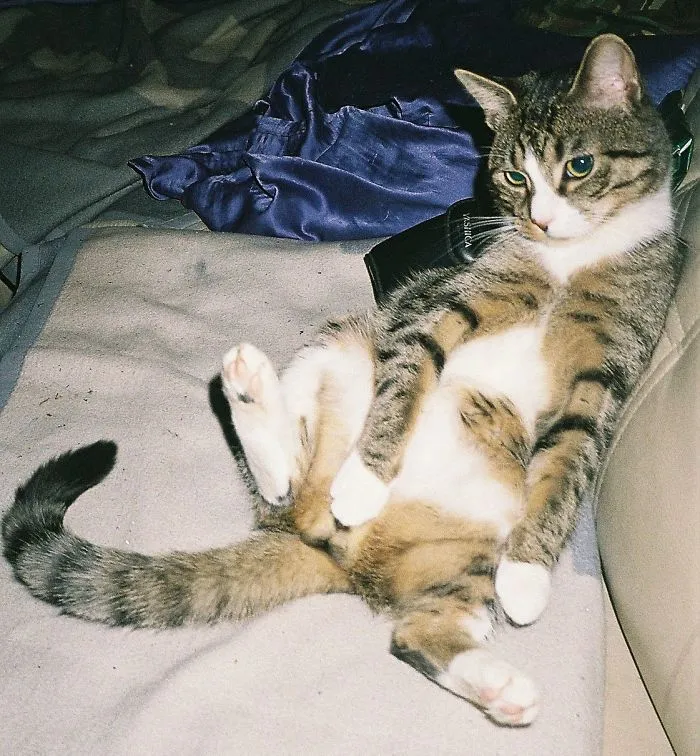 Tyler Chilling
