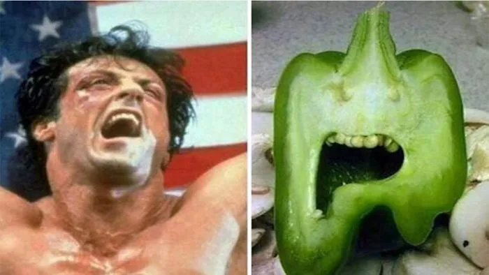 10+ The Example Of Strange Food Around The World