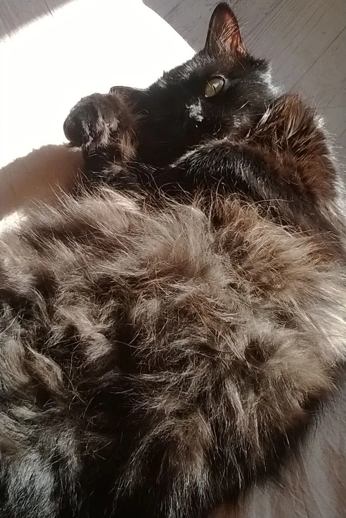 The Sun On My Belly
