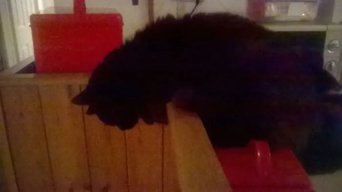 Jack Sleeping