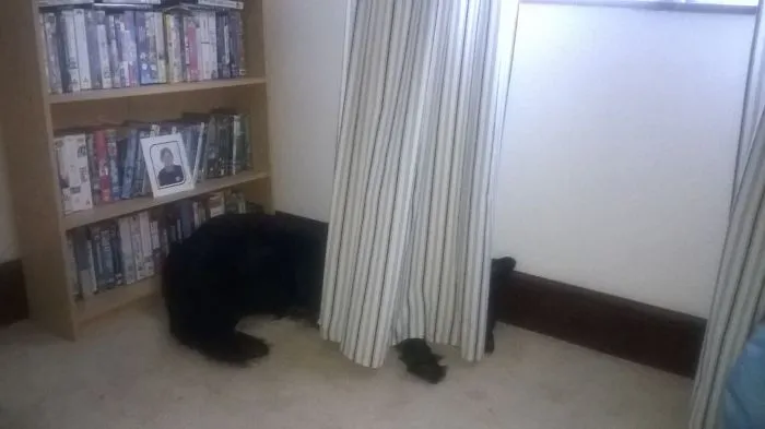 Last One From Me (coz I Could Do Loads) Bailey"hiding"