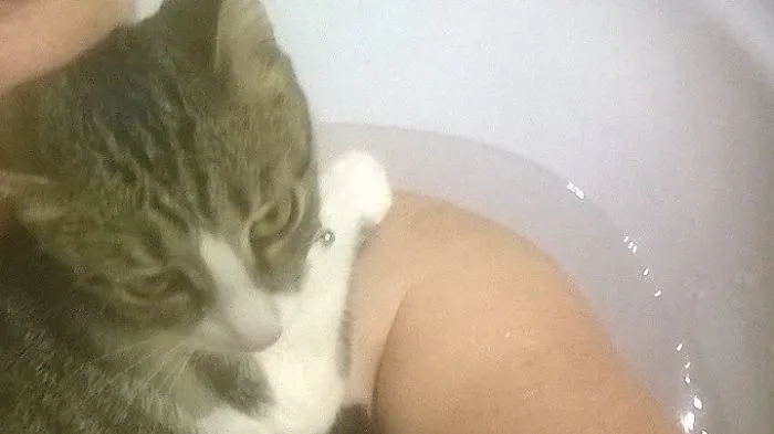 I Don't Care If You Are Bathing, I Will Lie On You...