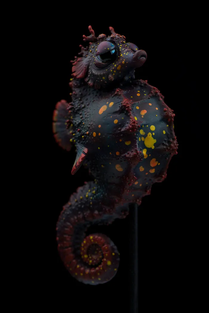 Bored Seahorse
