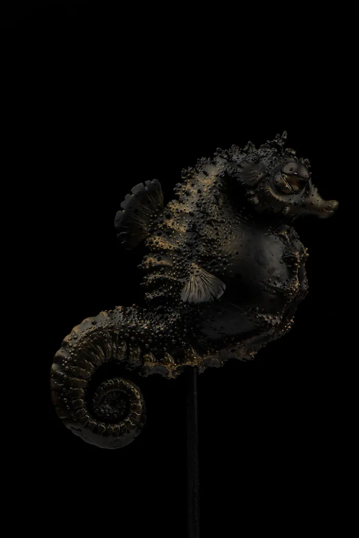 Bored Seahorse