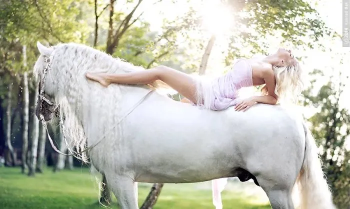 Where The Wild Horses Run