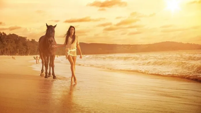 Where The Wild Horses Run