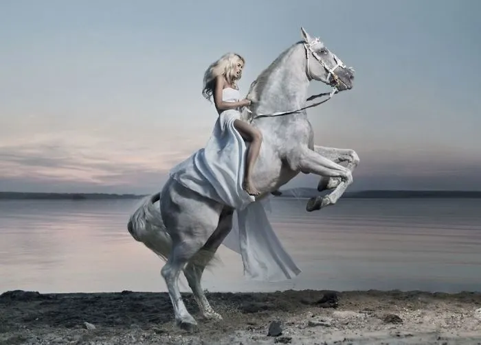 Where The Wild Horses Run
