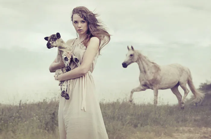 Where The Wild Horses Run
