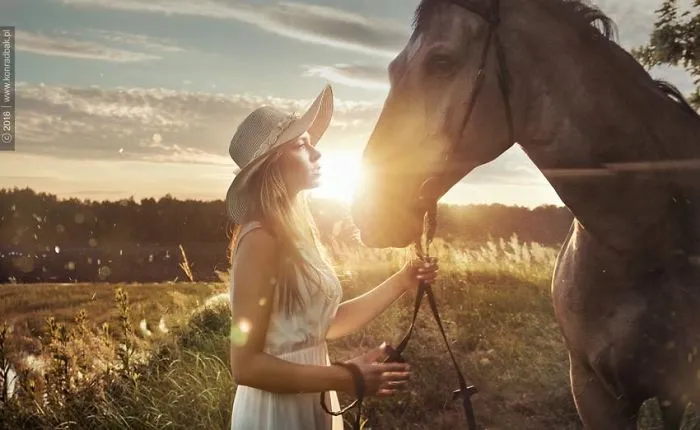 Where The Wild Horses Run