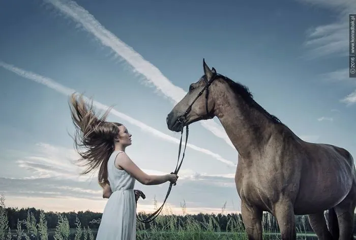 Where The Wild Horses Run