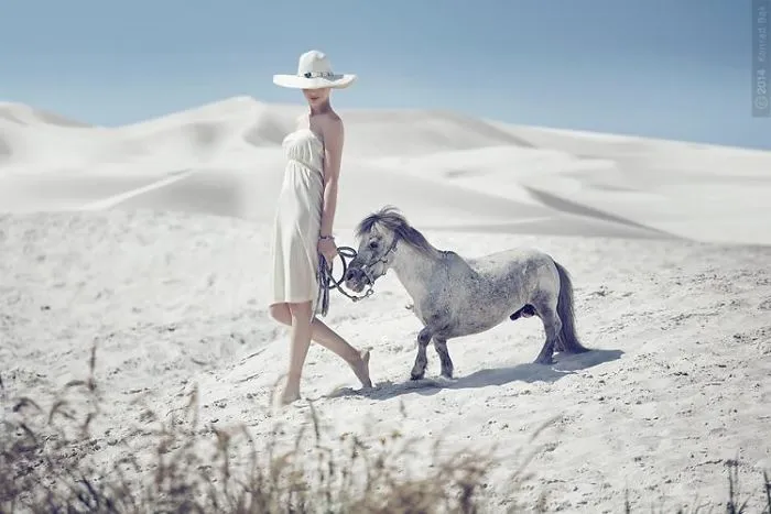 Where The Wild Horses Run