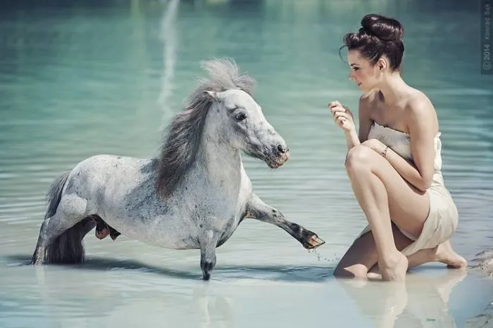 Where The Wild Horses Run