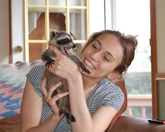86 Trash Panda Pics That Prove They're The Cutest Animal In The World