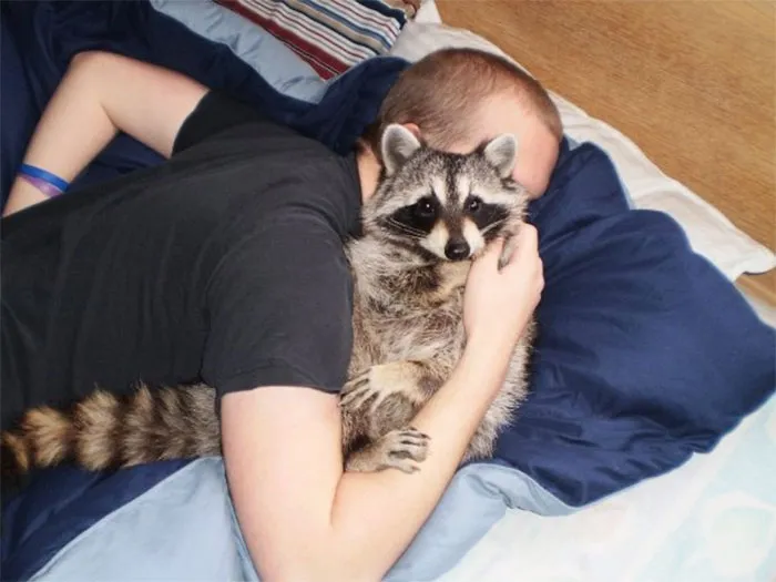 86 Trash Panda Pics That Prove They're The Cutest Animal In The World