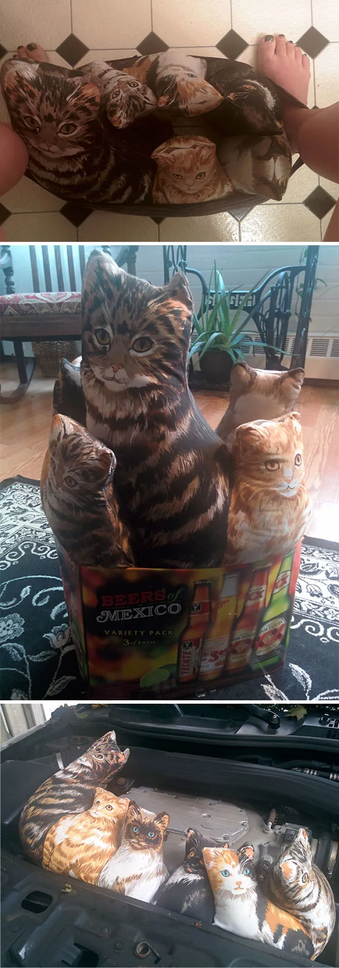 Ya que no puedo tener gatos, me compré esto de 2ª mano