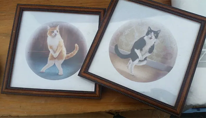 Found Some New Pictures For My Bathroom. $1 Each