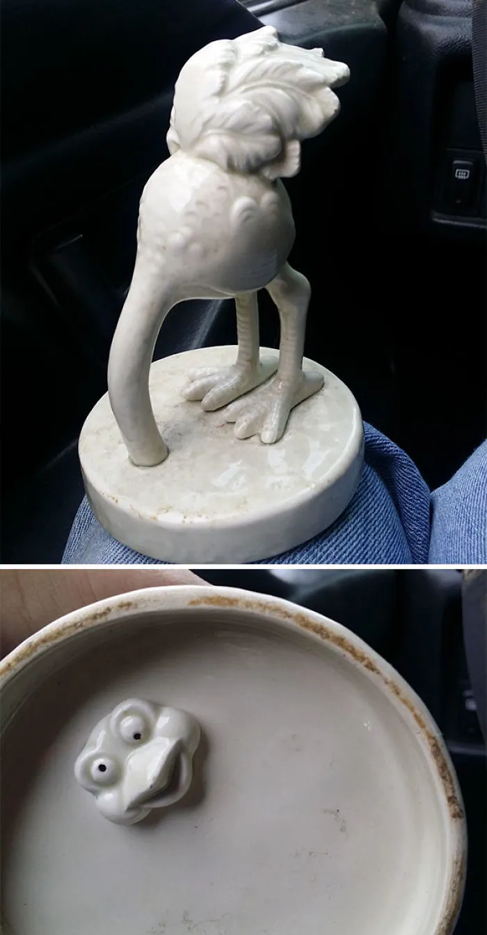 Best Find Yet