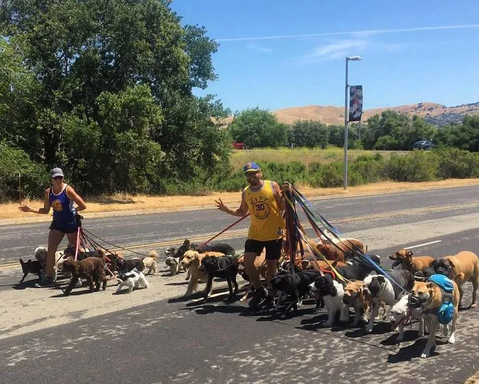 Meet The Animal Lover Couple And Their Super Canine Club