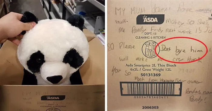 Boy Leaves Heartbreaking Note On Toy Panda Because His Mom Couldn't Afford It