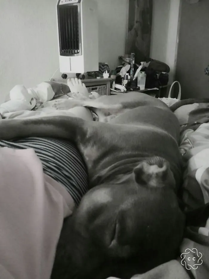 His Preferred Way Of Napping...
