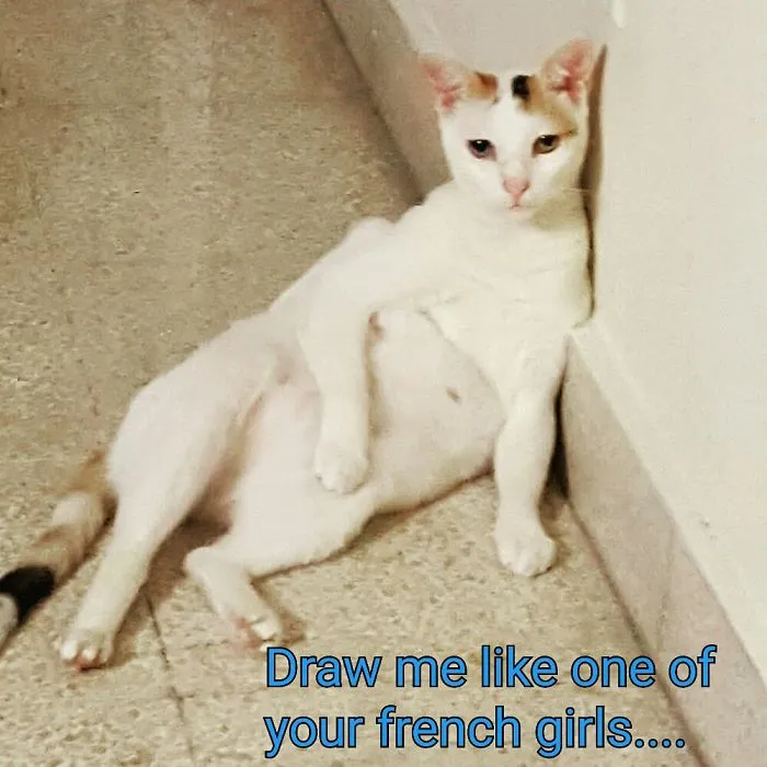 Sundae Is A Beautiful Fatty Marshmellow
