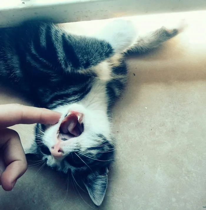 Poke