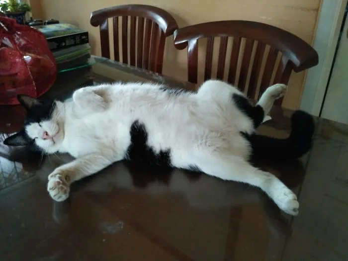 She Rules The House