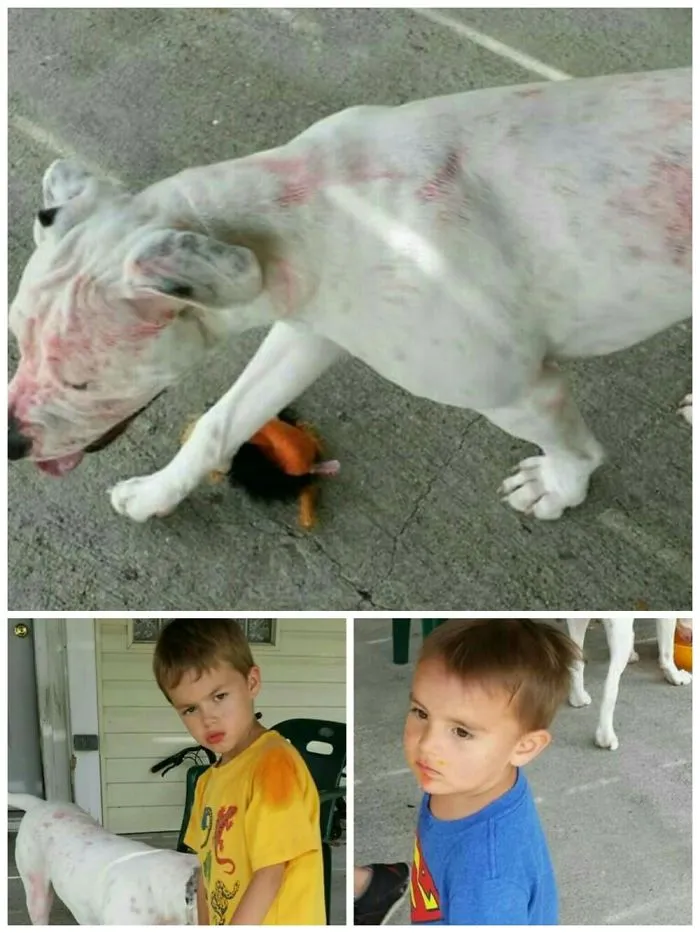 Found Ghost, Thought It Was Blood, Remembered I Just Gave The Kids Juice. I Was Making Lunch.