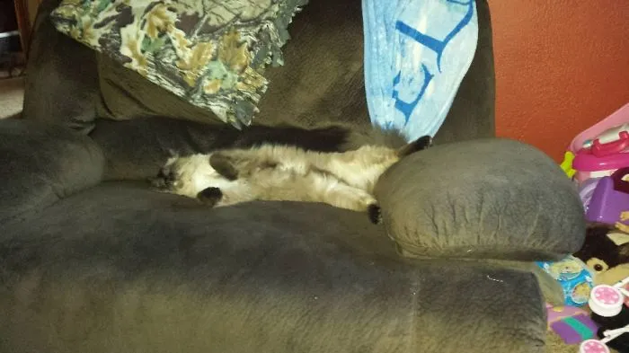Just Chilling