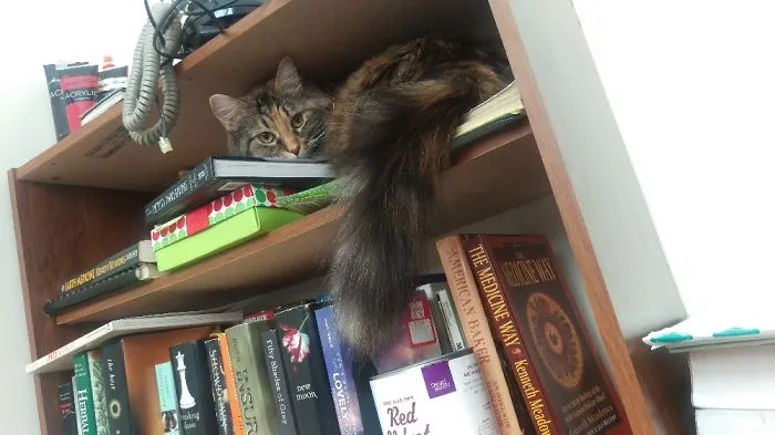 Book Worm