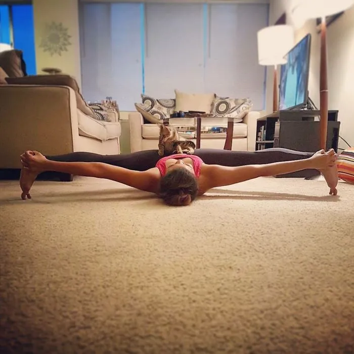 Lily On Me While I'm Doing Some Yoga...awkward...