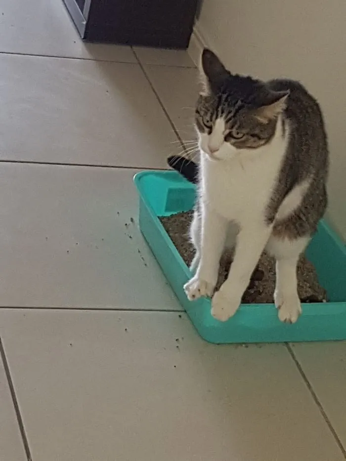 Must Not Touch The Litter!