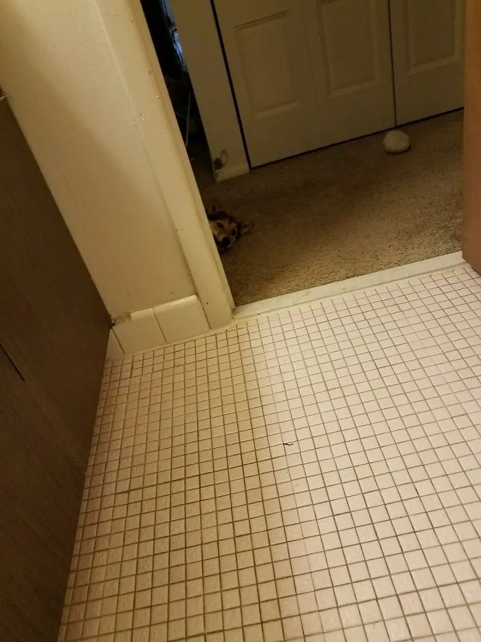 Anytime Go Into The Bathroom This Is What I See.